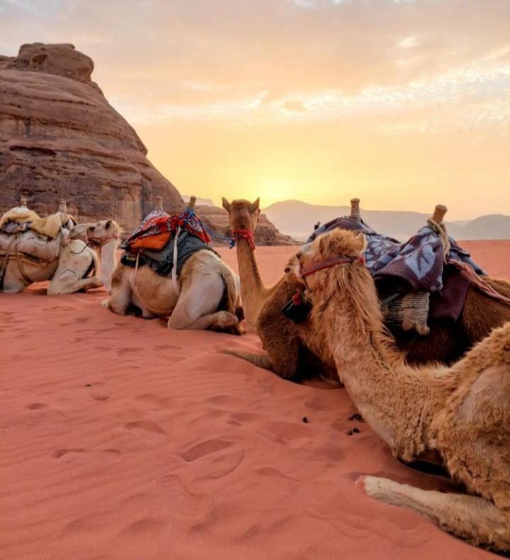Wadi Rum Nature Extérieur photo